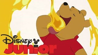 Winnie Puuh Vorlesewettbewerb  Mach mit und gewinne DISNEY JUNIOR [upl. by Zeiler]