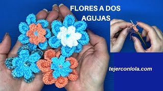 🌺 FLORES tejidas  a DOS AGUJAS 🌺 [upl. by Fronnia965]