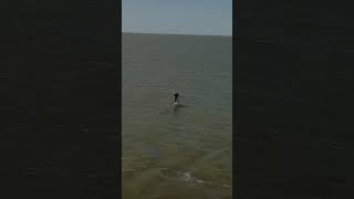 Markermeer  lake downwinding in the Netherlands downwind foil voyager [upl. by Saidel]