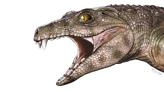 Chimaerasuchus A Herbivorous Crocodylomorph From Prehistoric China [upl. by Vita925]