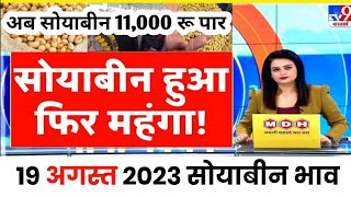 19 अगस्त 2023 आज का सोयाबीन का भाव Soyabean ka bhav Soya ka rateSoyabean mandibhav aaj ka [upl. by Milon489]