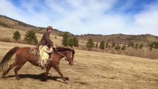 Cherokee Park Ranch  Spring Time in the Rockies [upl. by Grannia32]