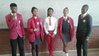 Nomvula  The Harmonic Acapella [upl. by Kruger]