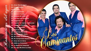 LOS CAMINANTES ÉXITOS SUS MEJORES CANCIONES 🎻 LOS CAMINANTES MIX ROMÁNTICAS PARA ENAMORARSE MÁS [upl. by Brufsky345]