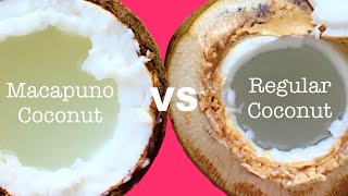 Macapuno coconut vs regular coconut How are they different [upl. by Bronk324]