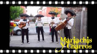 MARIACHIS A DOMICILIO  MARIACHIS Y CHARROS CALICANTO  CUMPLEAÑOS FELIZ [upl. by Mareah]