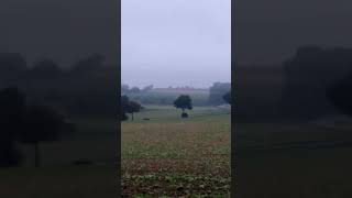 rolling through fertile farmland between Cities of Arnsberg and Soest in province of West Germany [upl. by Dier]