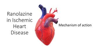 Ranolazine in Ischemic Heart Disease [upl. by Atikan]