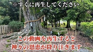 【表示されたらすぐに見て！】偉大な神々の恩恵が貴方に降り注ぎます🌈✨【新日吉神宮】 [upl. by Innob]