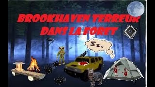 TERREUR Au Camping De Brookhaven PART 1 [upl. by Kiersten]