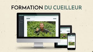 Formation en ligne du Cueilleur  cueillette Cuisine Herboristerie [upl. by Yrrot451]