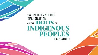 The United Nations Declaration on the Rights of Indigenous Peoples explained [upl. by Theola]