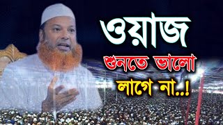 হুজুর ওয়াজ শুনতে ভালো লাগে না  আব্দুল বাসেত খান ওয়াজ  abdul baset khan waz  waz 2024 [upl. by Margit]