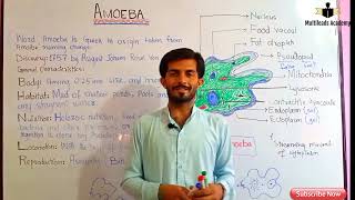 Introduction to biology Lec 10 Amoeba in HindiUrdu by Sir Ahsan Baloch [upl. by Lunetta134]