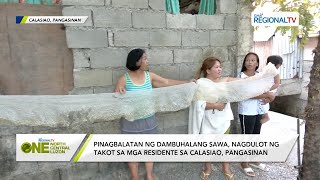 One North Central Luzon Pinagbalatan ng dambuhalang sawa nagdulot ng takot sa mga residente [upl. by Cross465]