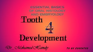 Root formation  clinical consideration of tooth develop  Oral Biology  Tooth development [upl. by Drue]