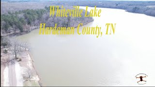 Whiteville Lake  Hardeman County TN [upl. by Llemar590]