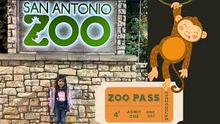 A day at the San Antonio Zoo [upl. by Nytram]