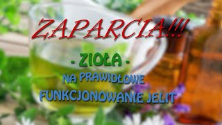 Zioła na zaparcia i prawidłową pracę jelit⛓ PiszeBabaDoZielarza  odc 82 [upl. by Enialed]