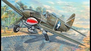 Trumpeter 132 P40F Warhawk Review [upl. by Mina46]