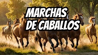 Marchas de caballos naturalezaenviajes [upl. by Hutchison]