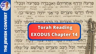 Exodus Chapter 14  Torah Reading in Hebrew with English Translation  TORAH STUDY [upl. by Scammon]