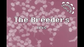 The Breeders  Iris Karaoke [upl. by Macpherson190]