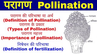 परागणPollination परागण के प्रकारTypes of Pollination परागण महत्त्व importance of pollination [upl. by Nnanaej537]