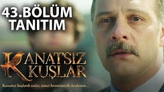 Kanatsız Kuşlar 43Bölüm Tanıtım [upl. by Brookes252]