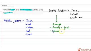 How do biotic and abiotic factors affect crop production   9  IMPROVEMENT IN FOOD RESOURCES [upl. by Llekim]