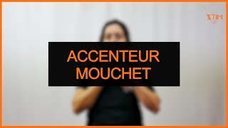 Accenteur Mouchet Ecologie  LSF [upl. by Adnohsirk]