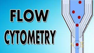 Flow Cytometry [upl. by Tsirc169]