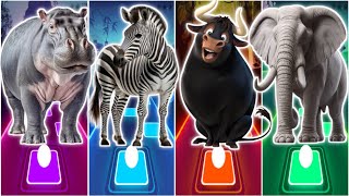 🦛Funny Hippo Vs Funny Zebra Vs Ferdinand Vs Funny Elephant Coffin Dance Tiles Hop [upl. by Idisahc]