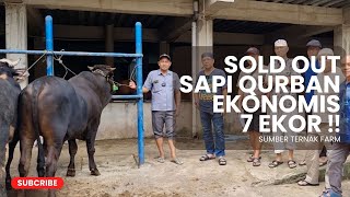 SOLD 7 EKOR ‼️ SAPI QURBAN KELAS EKONOMIS  SUMBER TERNAK FARM [upl. by Mloclam611]