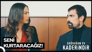 Mehdi Özgürlüğüne Sonunca Kavuştu  Doğduğun Ev Kaderindir [upl. by Eniamrej]