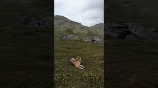 Hatcher pass Alaska [upl. by Oneg]