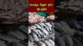 💥Vanagaram wholesale Fish Market வானகரம் மீன் சந்தை [upl. by Nahsar]