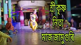 Shree Krishna nitya maj Jamuguri nagaon Assam 281124 raaxo assam nagaon [upl. by Reinnej250]