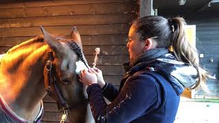 How to do a simple forelock plait Horse riding Top tips week 3 [upl. by Ennovad65]