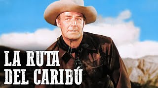 La ruta del caribú  Randolph Scott  Película de Vaqueros [upl. by Amiel242]