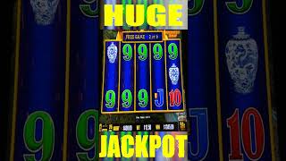 I Cant Believe This WILDS JACKPOT Golden Century Dragon Link Slot shorts [upl. by Grubb753]