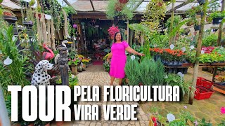 TOUR PELA FLORICULTURA VIRA VERDE FLORICULTURA EM GURIRIES  FLORES FOLHAGENS E MUITAS PLANTAS [upl. by Diet]