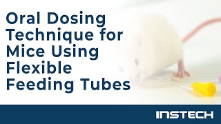 Oral Dosing Technique for Mice Using Flexible Feeding Tubes [upl. by Pawsner]