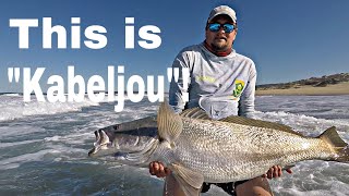 AUSTRALIAN MULLOWAY is what we CALL KOB IN SOUTH AFRICA and they ARE BIG Fishing for the FUTURE [upl. by Pacifa]