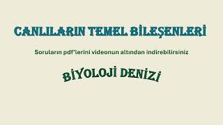 Canlıların Temel Bileşenleri 5 [upl. by Lisa]