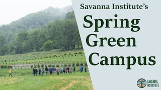 Savanna Institute’s Campus in Spring Green Wisconsin  Agroforestry Demonstration Farm Tour [upl. by Baudelaire]