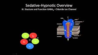 The GABA receptor  How does it work [upl. by Santiago]