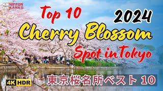 The Best Places to See Cherry Blossoms in Tokyo  Tokyo’s Top 10 Cherry Blossoms Viewing Spots [upl. by Nwonknu685]