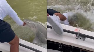 EXCLUSIVE VIDEO shows man being bitten out of boat by SHARK attack at Everglades National Park [upl. by Ierbua]