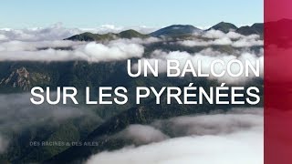 Un balcon sur les Pyrénées  Émission intégrale [upl. by Templer]